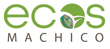  Câmara Municipal de Machico (Demo) logo
